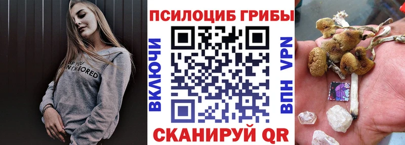 магазин  наркотиков  Козловка  Галлюциногенные грибы Cubensis 